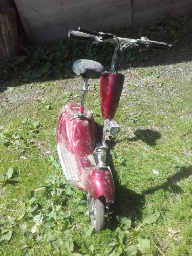 20190702_121009 (Mittel).jpg