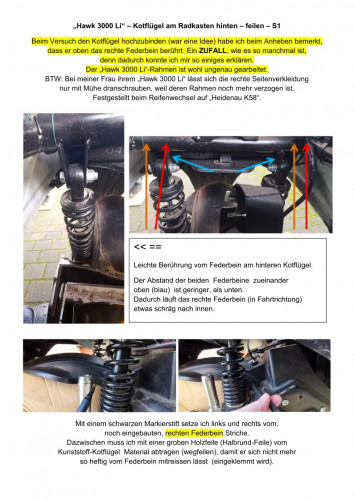 38b_Hawk3000Li_Kotfluegel-hinten-feilen_S1.jpg
