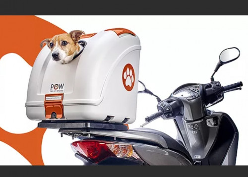 Screenshot_20210120-110730.jpg