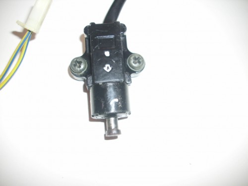 DSCI0490.JPG