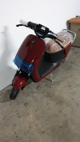 IMG-20220623-WA0008.jpeg