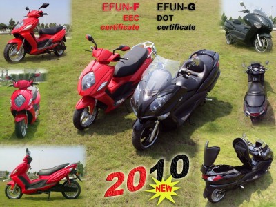 Eroller Zyklopenauge 2011 und andere.jpg