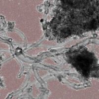 kohlenstoffnanostrukturen.jpg