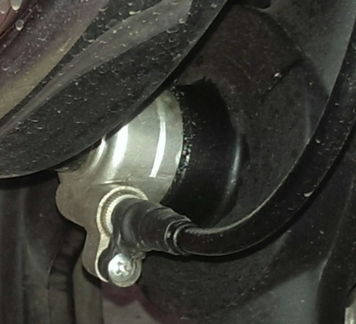 IMAG0242_1.jpg
