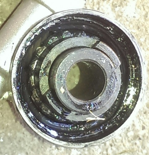 IMAG0245_1.jpg
