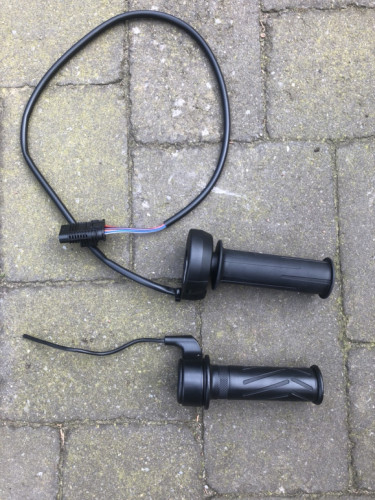 Groß (IMG_1012).jpeg