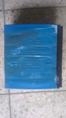 IMAG1205.jpg