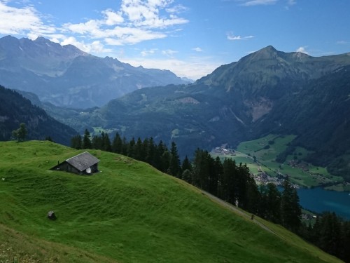 DSC_0817.JPG