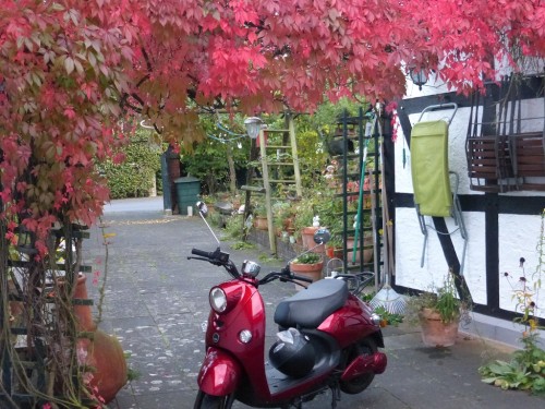 Roter Unu in roter Umgebung-b-.jpg