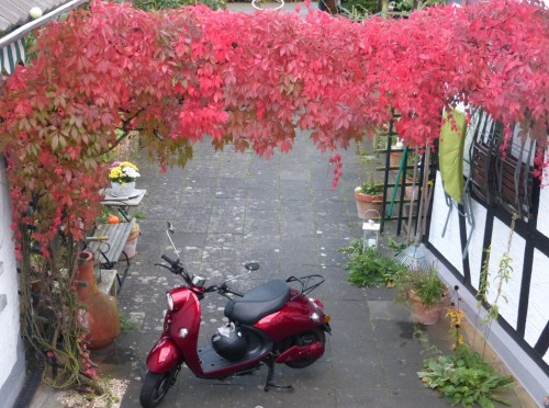 Roter Unu in roter Umgebung-a-.jpg